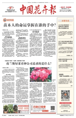 中国花卉报年12月第4121期 期刊
