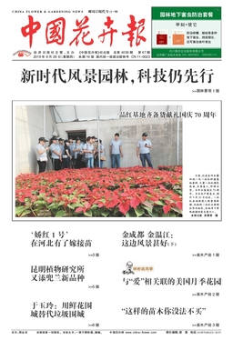 中国花卉报19年8月第4039期 期刊